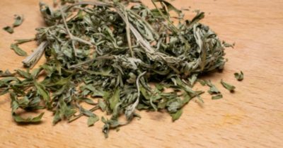 Những tác dụng tuyệt vời của lá ngải cứu khô với sức khỏe và nhan sắc