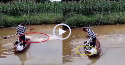 Video: Cá khủng phi lên thuyền