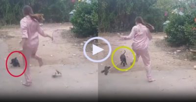 Video: Cún cưng nhiệt tình quay dây cho cô chủ nhảy