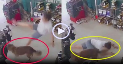 Video: Cô chủ ngã sõng soài vì tung cước với chó cưng