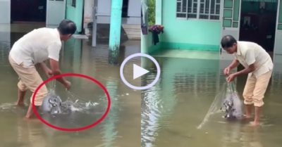 Video: Gia chủ thả lưới bắt cá trong sân nhà