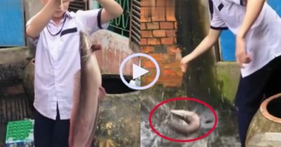 Video: Cá tẩu thoát ngoạn mục khỏi tay nam sinh