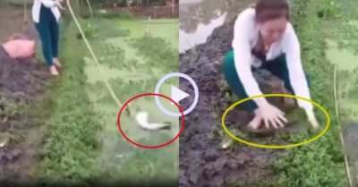 Video: Cô gái lao người tóm gọn cá lóc khủng