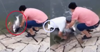 Video: Cần thủ tiếc nuối vì tuột mất cá to