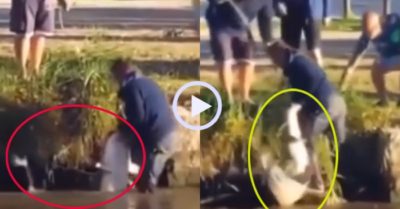 Video: Đám đông nháo nhào khi cần thủ câu được cá khủng