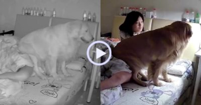 Video: Nữ gia chủ bị ‘bóng đè’ khi đang ngủ