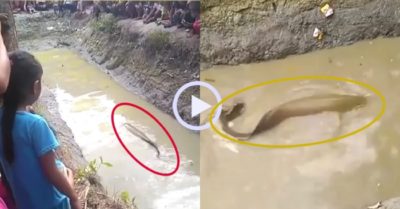 Video: Dân làng hào hứng xem bắt cá ‘khổng lồ’