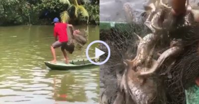 Video: Ngư dân quăng chài được mẻ cá to