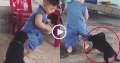 Video: Bé trai mếu máo vì bị chó cưng kéo quần