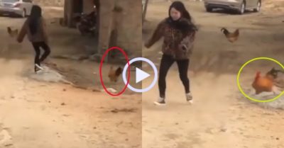 Video: Gà trống truy đuổi cô gái trêu chọc mình