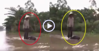Video: ‘Cao thủ’ cưỡi trâu lướt trên mặt nước