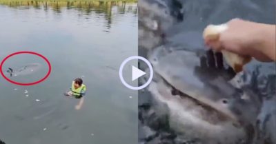 Video: Nữ du khách thích thú bơi cùng đàn cá da trơn khổng lồ