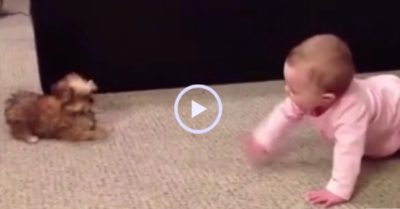 Video: Em bé hồn nhiên ‘cãi nhau’ với cún cưng
