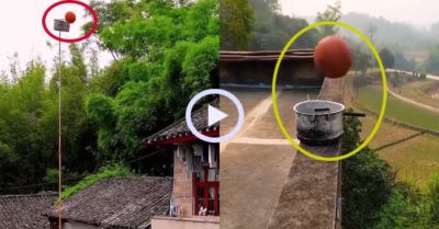Video: Cao thủ bóng rổ ném đâu trúng đó
