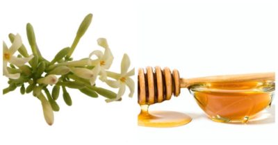 Công dụng của hoa đu đủ đực ngâm mật ong với sức khỏe và làm đẹp