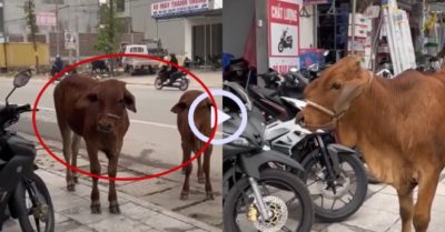 Video: Chủ ‘đuổi khách’ khỏi cửa hàng xe máy