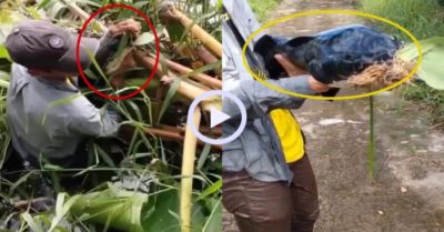Video: Nam thanh niên vui sướng khi giăng câu dính cá ‘khủng long’