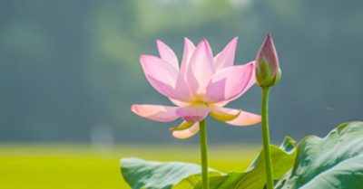 Chỉ cần không bỏ cuộc, điều kì diệu sẽ xảy ra