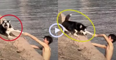 Video: Chú chó hoảng hồn khi bị cậu chủ kéo xuống sông