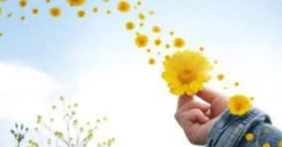 Đừng để cuộc đời của bạn bị chi phối bởi lời nói của người khác