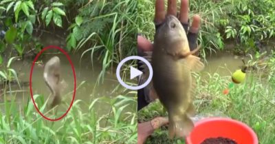 Video: Cần thủ sung sướng với chiến lợi phẩm khủng
