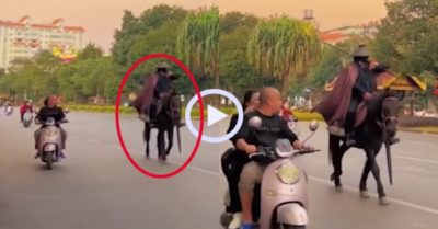 Video: Cao thủ võ lâm trên đường hành tẩu giang hồ