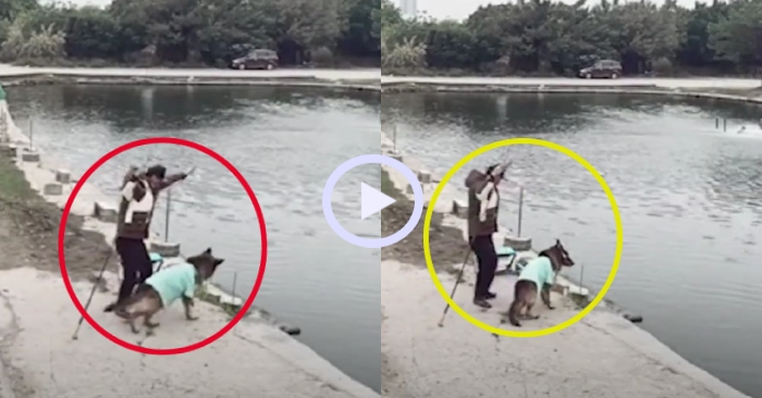 Video: Chú chó câu cá siêu đỉnh