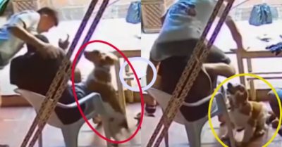 Video: Thanh niên dùng ‘khinh công’ né đòn của chó