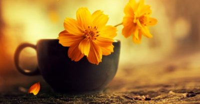 Giúp người cũng là giúp chính mình
