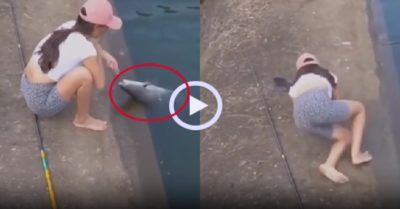 Video: Cô gái dùng cả thân mình vồ bắt cá