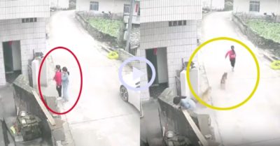 Video: Hai bé gái chạy té khói vì bị chó đuổi