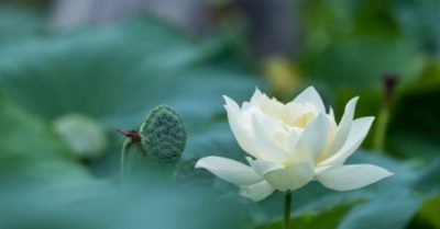 Gặp chuyện dù lớn hay nhỏ thì trước tiên phải “bình tâm tĩnh khí”