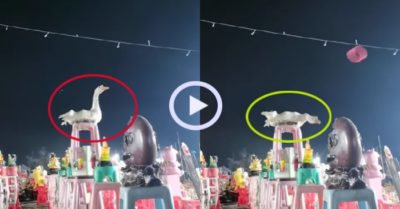 Video: Cao thủ ngỗng khiến người chơi ném vòng bất lực