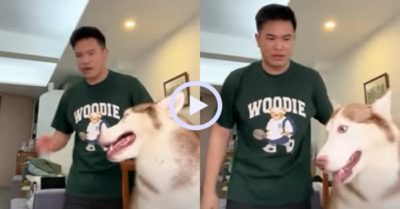 Video: Sen hú hồn khi rủ chó cưng đu trend TikTok