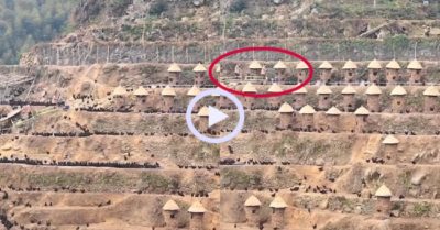 Video: Chủ trang trại đi tàu lượn trên núi cho gà ăn