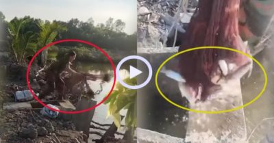 Video: Người phụ nữ quăng chài hốt trọn đàn cá đối