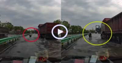 Video: Tài xế xe tải dừng giữa đường bắt cá