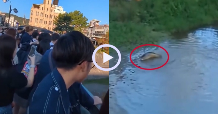 Video: Hàng trăm người vỗ tay mừng cần thủ được cá khủng