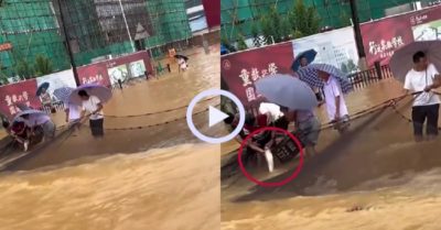 Video: Dùng lưới khổng lồ bắt cá trên đường phố