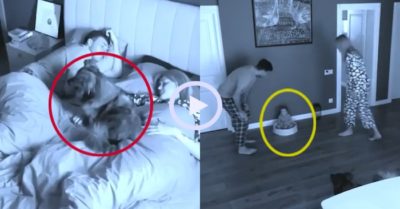 Video: Phụ huynh hú hồn với màn ‘ly miêu tráo chúa’ giữa cậu bé và chó cưng