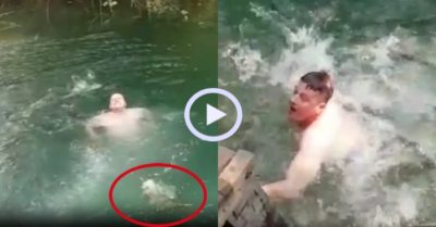 Video: Thanh niên bơi nhanh vào bờ vì bị đàn cá tấn công