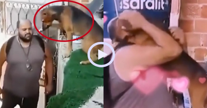 Video: Chó cưng mừng rỡ chào đón khi chủ đi làm về