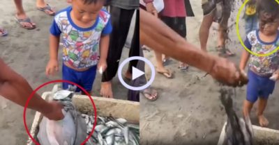 Video: Cậu bé đen như than vì hứng trọn cú phun của mực