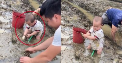 Video: Em bé cùng gia đình bắt cá ngoài đồng