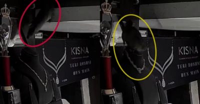 Video: Chuột trộm vòng cổ kim cương trong tiệm nữ trang