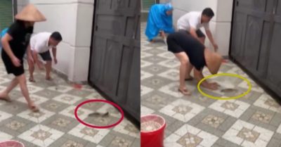Video: Gia chủ bội thu vì cá tự tìm đến nhà