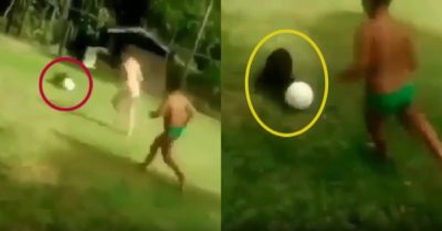 Video: Chó cưng đi bóng khiến hai cậu chủ điêu đứng