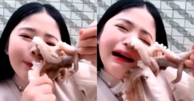 Video: Cô gái trả giá khi livestream ăn bạch tuộc sống