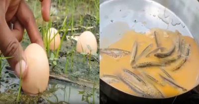Video: Dùng trứng làm mồi bắt cá