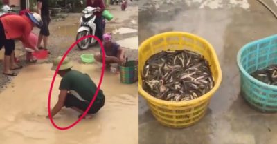 Video: Bắt cá ở ổ gà giữa đường